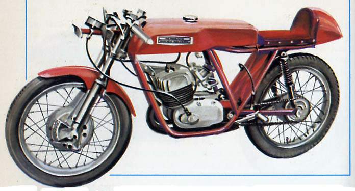 Aermacchi H.-D. Ala d'Oro 125 - 250 For Sale Specifications, Price and Images
