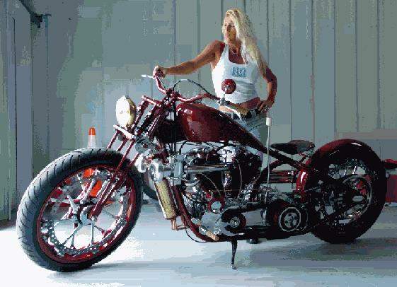 Gypsy’s bike by Gypsy Charros For Sale Specifications, Price and Images