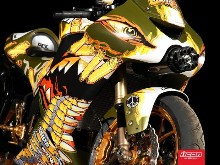 Kawasaki ZX-10R Warthog by Icon For Sale Specifications, Price and Images