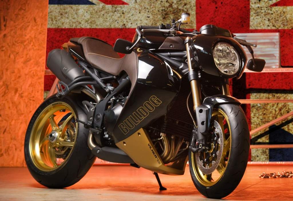 Vilner Triumph Speed Triple Bulldog For Sale Specifications, Price and Images