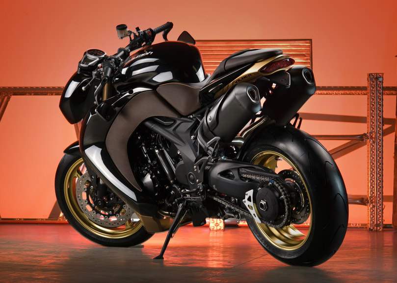 Vilner Triumph Speed Triple Bulldog For Sale Specifications, Price and Images