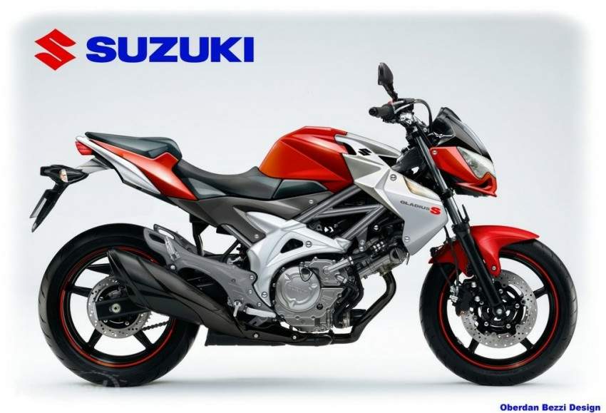 Suzuki DR BIG 1200 S by Oberdan Bezzi For Sale Specifications, Price and Images