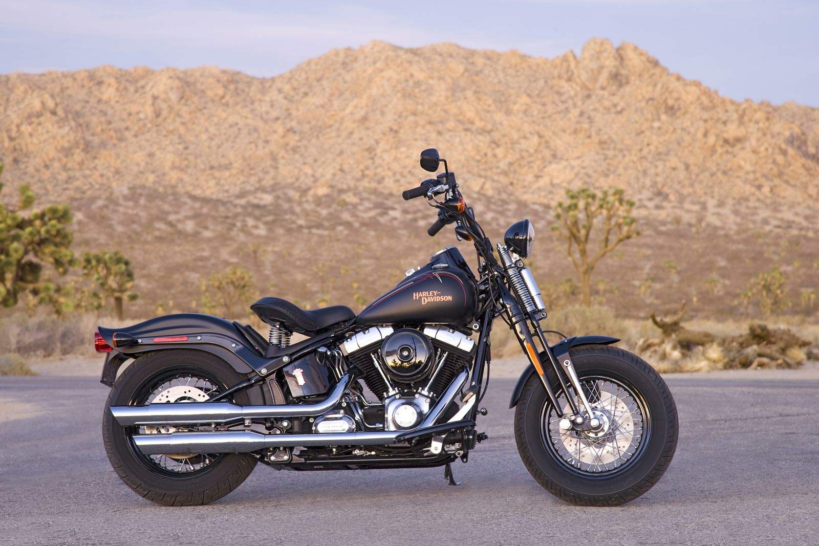 FLSTSB Softail Cross Bones For Sale Specifications, Price and Images