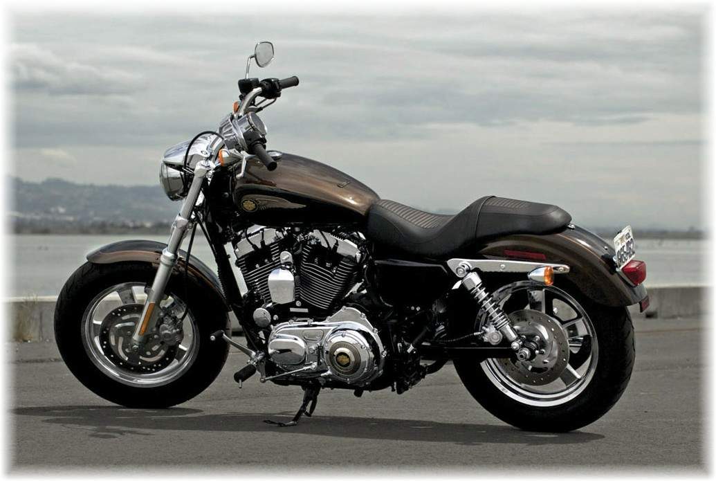 Harley Davidson XL1200C Sportster Custom 110th Anniversary For Sale Specifications, Price and Images