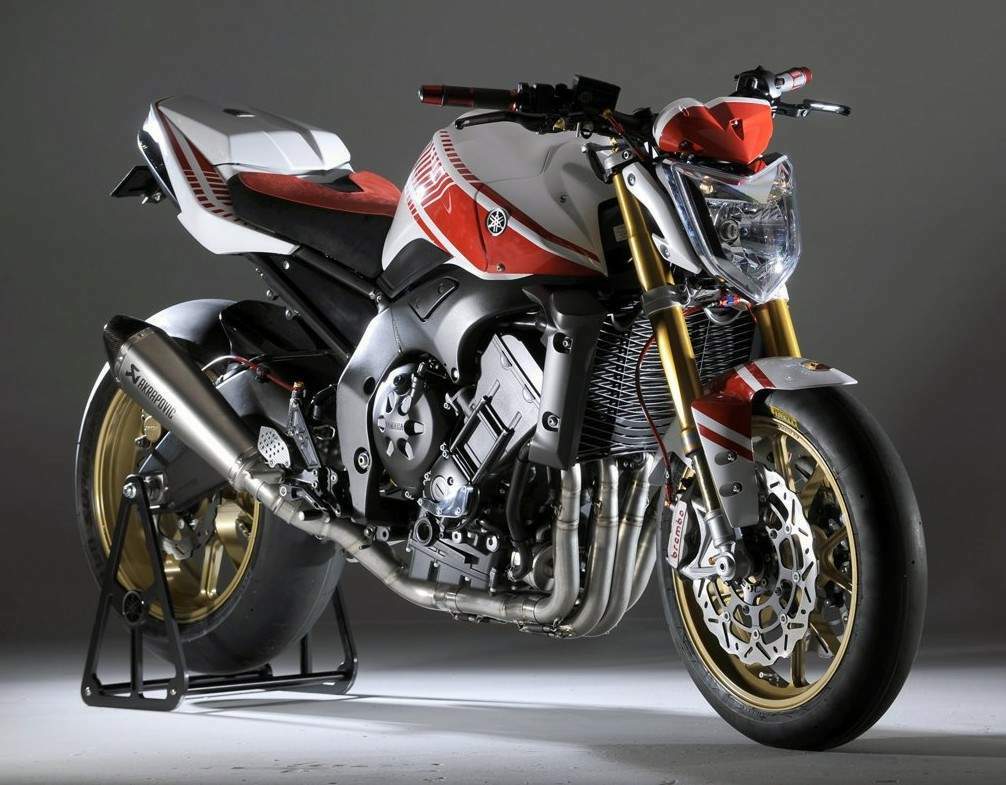 Yamaha FZ1 N Abarth Assetto Corse For Sale Specifications, Price and Images