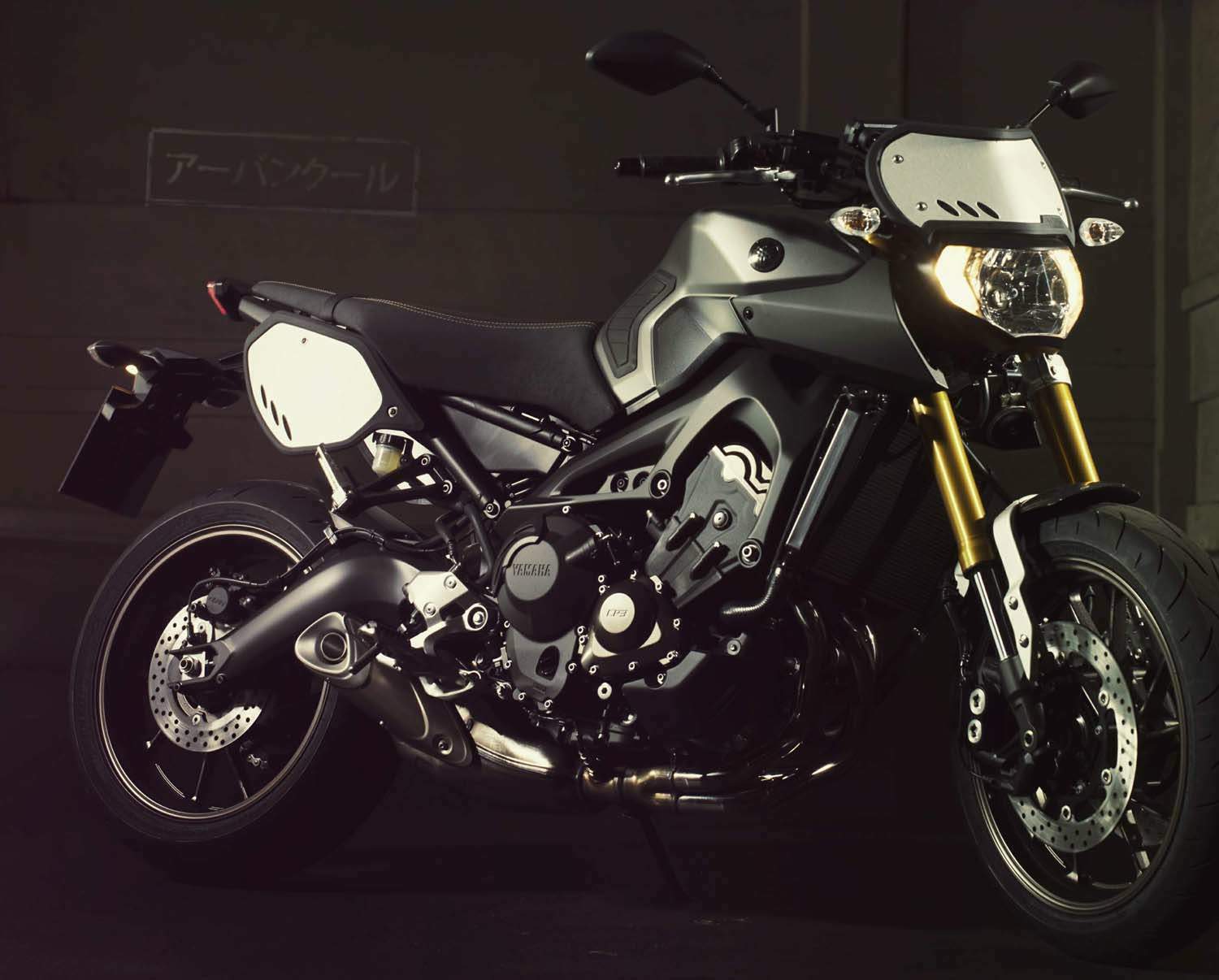 Yamaha MT-09 Street Tracker For Sale Specifications, Price and Images