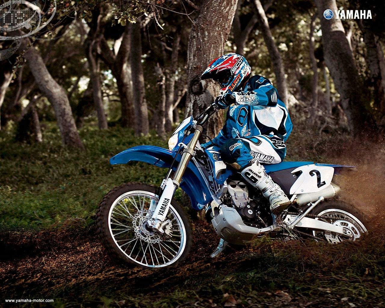 Yamaha
      WR 450F For Sale Specifications, Price and Images