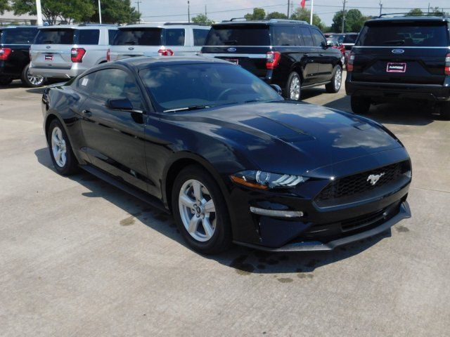  2019 Ford Mustang EcoBoost For Sale Specifications, Price and Images