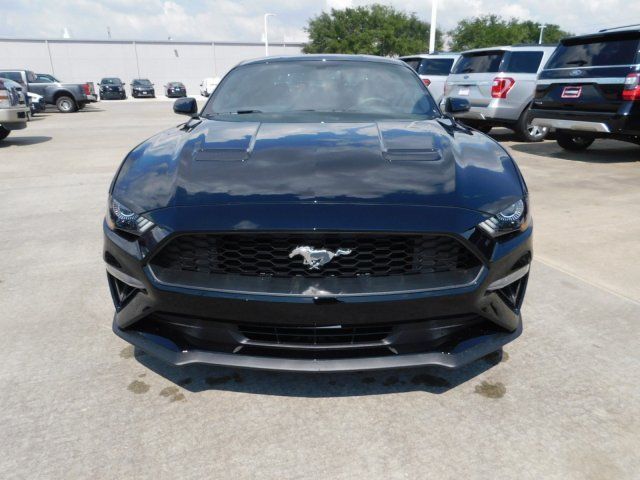  2019 Ford Mustang EcoBoost For Sale Specifications, Price and Images