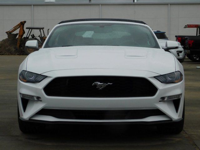  2019 Ford Mustang EcoBoost Premium For Sale Specifications, Price and Images