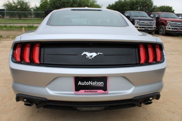  2019 Ford Mustang EcoBoost For Sale Specifications, Price and Images