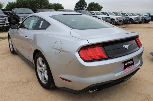  2019 Ford Mustang EcoBoost For Sale Specifications, Price and Images