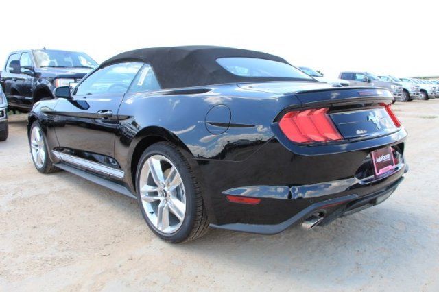  2019 Ford Mustang EcoBoost Premium For Sale Specifications, Price and Images