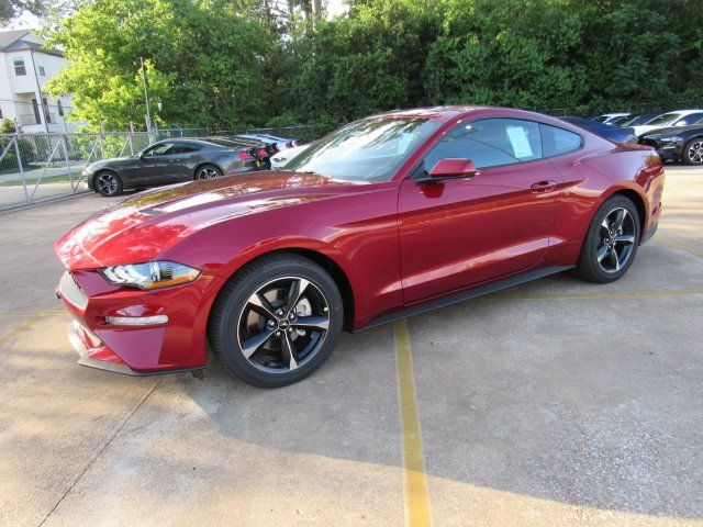  2019 Ford Mustang EcoBoost For Sale Specifications, Price and Images