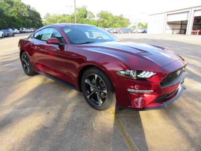  2019 Ford Mustang EcoBoost For Sale Specifications, Price and Images