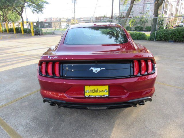  2019 Ford Mustang EcoBoost For Sale Specifications, Price and Images