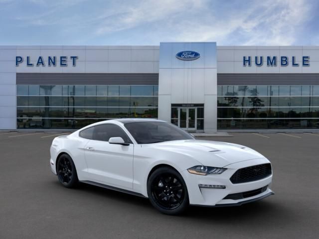  2019 Ford Mustang EcoBoost For Sale Specifications, Price and Images