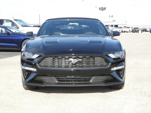  2020 Ford Mustang EcoBoost Premium For Sale Specifications, Price and Images