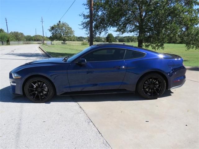  2019 Ford Mustang EcoBoost For Sale Specifications, Price and Images