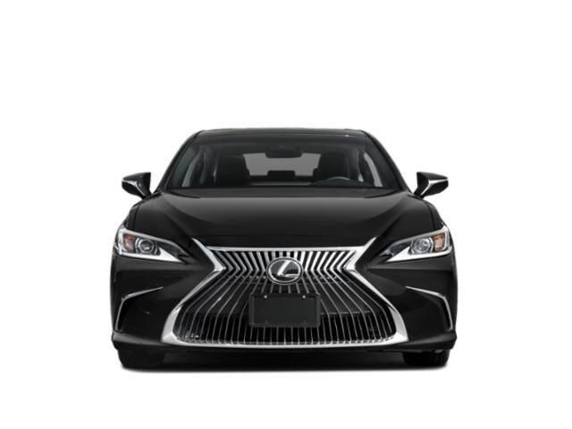  2019 Lexus ES 350 Premium For Sale Specifications, Price and Images