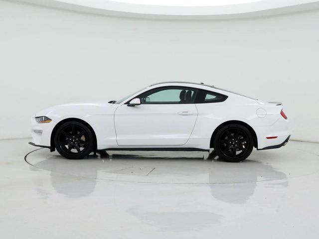  2019 Ford Mustang EcoBoost For Sale Specifications, Price and Images