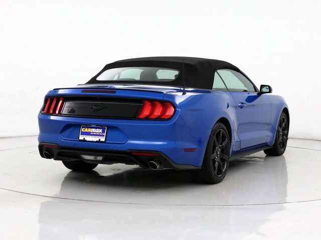  2019 Ford Mustang EcoBoost Premium For Sale Specifications, Price and Images