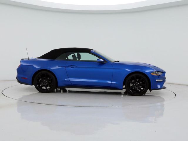  2019 Ford Mustang EcoBoost Premium For Sale Specifications, Price and Images