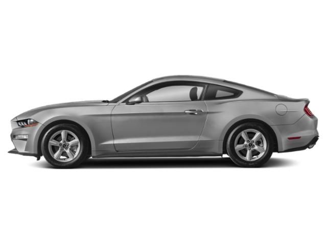  2019 Ford Mustang GT For Sale Specifications, Price and Images