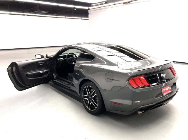  2019 Ford Mustang EcoBoost 2dr Fastback For Sale Specifications, Price and Images